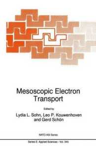Mesoscopic Electron Transport (NATO Science Series E)