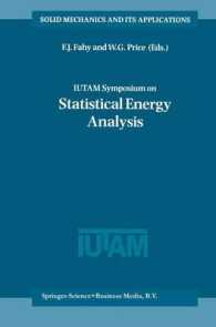 Iutam Symposium on Statistical Energy Analysis (Solid Mechanics and Its Applications)