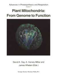Plant Mitochondria : From Genome to Function (Advances in Photosynthesis and Respiration)