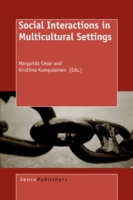 Social Interactions in Multicultural Settings