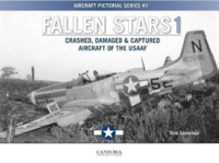 Fallen Stars 1 : Crashed, Damaged & Captured Aircraft of the USAAF
