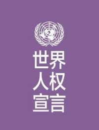 Universal Declaration of Human Rights (Chinese language) -- Paperback / softback