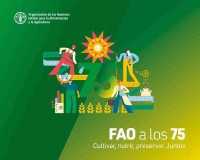 FAO a los 75 años : Cultivar, nutrir, preservar. Juntos