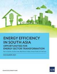 Energy Efficiency in South Asia : Opportunities for Energy Sector Transformation