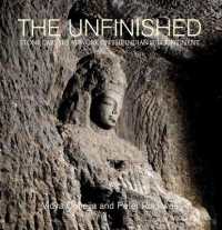 The Unfinished : The Stone Carvers at Work in the Indian Subcontinent