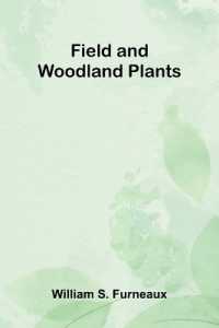 The Formation of Christendom (Volume II) (Edition1)