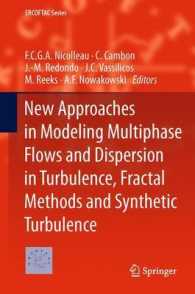 New Approaches in Modeling Multiphase Flows and Dispersion in Turbulence, Fractal Methods and Synthetic Turbulence (Ercoftac Series) （2012）