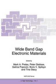 Wide Band Gap Electronic Materials (NATO Science Partnership Subseries: 3)