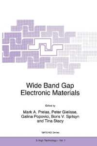 Wide Band Gap Electronic Materials (NATO Science Partnership Subseries: 3)