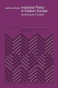 Industrial Policy in Eastern Europe : Governing the Transition (International Studies in Economics and Econometrics)