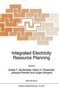 Integrated Electricity Resource Planning (NATO Science Series E:)
