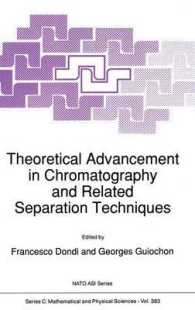 Theoretical Advancement in Chromatography and Related Separation Techniques (NATO Science Series C)