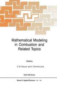 Mathematical Modeling in Combustion and Related Topics (NATO Science Series E:)