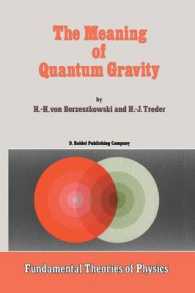 The Meaning of Quantum Gravity (Fundamental Theories of Physics)