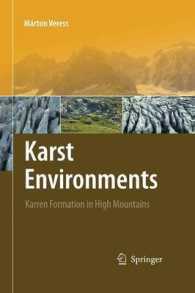 Karst Environments : Karren Formation in High Mountains
