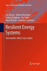 Resilient Energy Systems : Renewables: Wind, Solar, Hydro (Topics in Safety, Risk, Reliability and Quality)