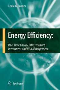 Energy Efficiency : Real Time Energy Infrastructure Investment and Risk Management （2009）