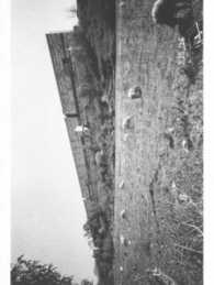 Ari Marcopoulos - Rome - Malibu