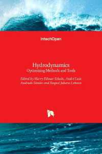 Hydrodynamics : Optimizing Methods and Tools