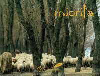 Miorita : An Icon of Romanian Culture