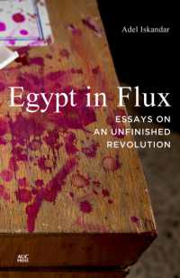 Egypt in Flux : Essays on an Unfinished Revolution