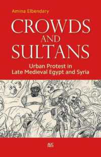 中世後期エジプトとシリアにおける都市の抗議運動<br>Crowds and Sultans : Urban Protest in Late Medieval Egypt and Syria
