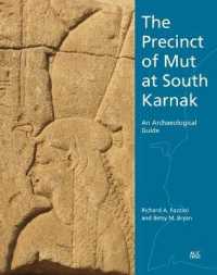 The Precinct of Mut at South Karnak : An Archaeological Guide