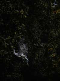 INLAND VOYAGE