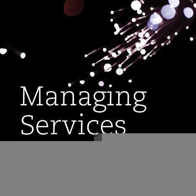 Managing Services : Challenges and Innovation （Library）