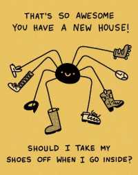 Humor Us Greeting Cards: New Home - That's So Awesome You Have a New House (Pack of 6)