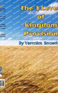 The 3 Levels of Kingdom Provision : Discover How God Provides for His Children Regardless of Income, Education or Background