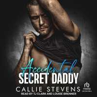 Accidental Secret Daddy (The Spades Brothers)