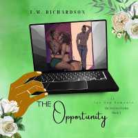 The Opportunity (Secrets)