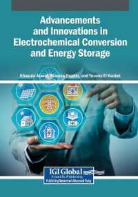 Advancements and Innovations in Electrochemical Conversion and Energy Storage