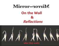 Mirror-Mirror on the Wall & Reflections