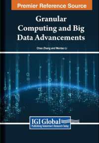 Granular Computing and Big Data Advancements