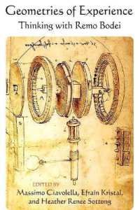 Geometries of Experience : Thinking with Remo Bodei (Suny series in Contemporary Italian Philosophy)