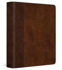 ESV Journaling Bible