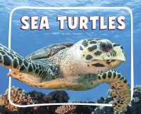 Sea Turtles (Ocean Animals)