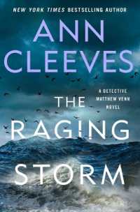 The Raging Storm : A Detective Matthew Venn Novel (Two Rivers) （Large Print Library Binding）