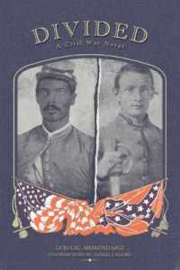 Divided, a Civil War Novel