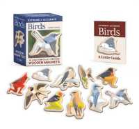 Extremely Accurate Birds Wooden Magnet Set : 10 Anatomically Precise Magnets