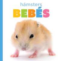 Hámsters Bebés (El Principio de los)