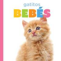 Gatitos Bebés (El Principio de los)