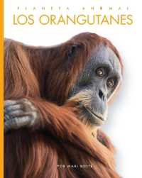 Los Orangutanes (Planeta Animal)
