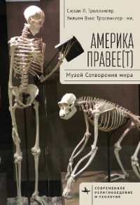 Righting America : At the Creation Museum (Contemporary Religious and Theological Studies)