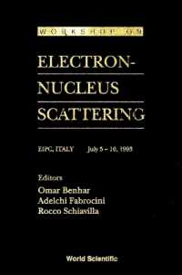 Electron-nucleus Scattering - Proceedings of the Workshop