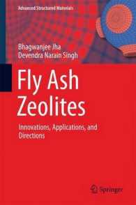 Fly Ash Zeolites : Innovations, Applications, and Directions (Advanced Structured Materials)