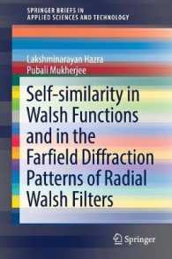 Self-similarity in Walsh Functions and in the Farfield Diffraction Patterns of Radial Walsh Filters (Springerbriefs in Applied Sciences and Technology)