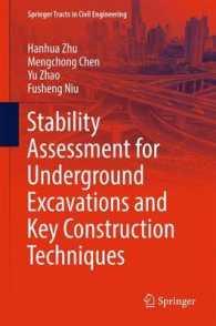 Stability Assessment for Underground Excavations and Key Construction Techniques (Springer Tracts in Civil Engineering)